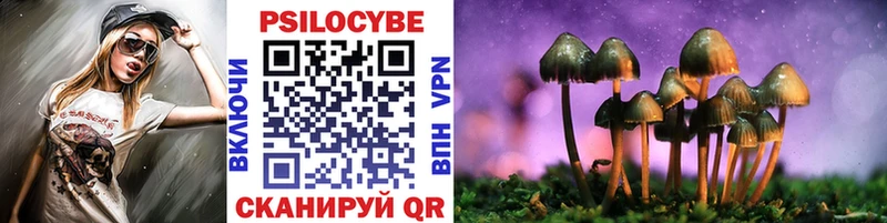 где найти наркотики  omg зеркало  Галлюциногенные грибы Cubensis  Шумиха 